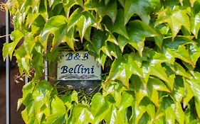 B&B Bellini